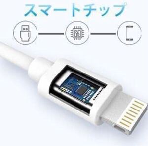 iPhone 充電ケーブル 1M 純正 USB急速充電&同期 ライトニングケーブル 急速充電 断線防止 高速データ転送