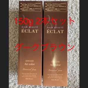 【公式】 ヘアボーテエクラ ボタニカル ダークブラウン 白髪染め ボタニカルエアカラーフォーム 150g × 2本