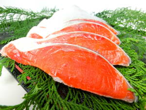 特大 紅鮭フィーレ 塩鮭 約1kg 【業務用】 希少な天然物 脂がほどよく 焼き鮭に最適♪