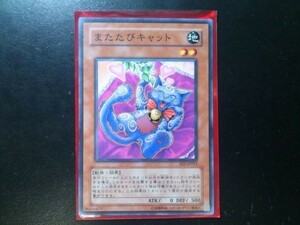 コレクター向け 遊戯王 ノーマル またたびキャット FET-JP013