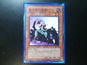 コレクター向け 遊戯王 ノーマル 尾も白い黒猫 303-029