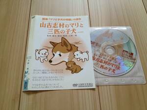山古志村のマリと三匹の子犬 レンタル落ち DVD A-1 新品DVDトールケース付き