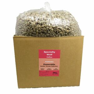 コーヒー 生豆 パナマ エスメラルダ農園　ゲイシャ種　プライベートコレクション [5kg]
