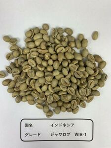 コーヒー 生豆 インドネシア ジャワロブ　WIB-1 [20kg]
