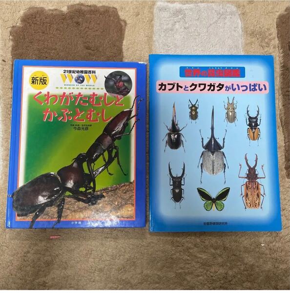 カブトムシ・クワガタムシ 図鑑セット