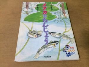 ●K026●メダカのたんじょう●岩松鷹司森上義孝●子どもたのしいかがく●絵本体のつくり冬越し●1998年1刷●大日本図書●即決