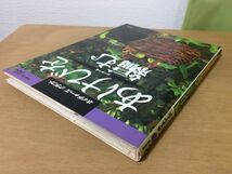 ●K015●あけびを編む●谷川栄子●籠つくりつる植物採集ネイチャーズクラフト山あけび花籠バスケットザル基礎知識技法アケビクズ●即決_画像2