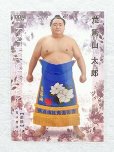 ☆ BBM2022 大相撲カード 華 レギュラーカード 40 前頭 荒篤山太郎 ☆