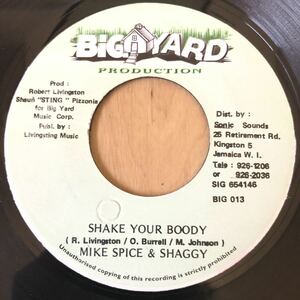 送料無料★コンビネーション！SHAKE YOUR BODY /MIKE SPICE&SHAGGY★