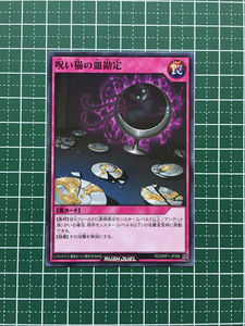 ★遊戯王 ラッシュデュエル メガロードパック #RD/MRP1-JP086 呪い猫の皿勘定 ノーマル「N」★