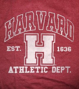 ★ハーバード大学 Tシャツ HARVARD University - L 正規品 カレッジ ロゴ アメカジ