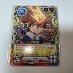 【激レア！非売品】家庭教師ヒットマンREBORN! CCG 沢田綱吉