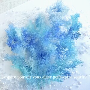 加工花材* ブルーグラデ ミリオクラダス プリザーブドフラワー ハーバリウム 花材