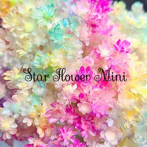 加工花材* スターフラワー ミニ プリザーブドフラワー ボールペン レジン 花材