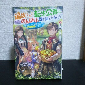 「追放された転生公爵は、辺境でのんびりと畑を耕したかった ～来るなというのに領民が沢山来るから内政無双をすることに～」