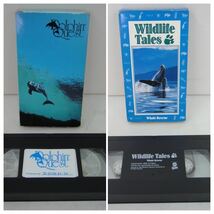 4852 ■ イルカ　クジラ　オルカ　VHS 10本セット＋『Grand Bleu』　Dolphin Orca Whale ■_画像9