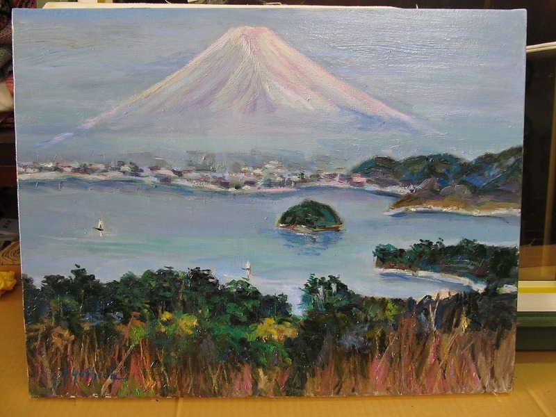 ヤフオク! -p6号の中古品・新品・未使用品一覧