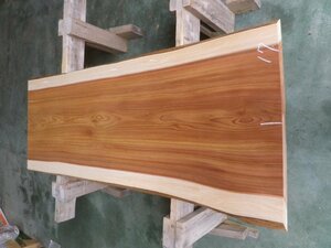 長166*幅61-64*厚5.4　杉17の木材木工材,一枚板自然木無垢材ＤＩＹ　テーブル天板　スギ