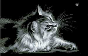 クロスステッチキット black cat モノクロ猫 18CT 刺繍
