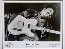 アルバート・コリンズ/プロモーション・フォト/額装/Albert Collins/Alligator Records/アリゲーター・レコーズ/ブルース ギター 写真_画像2