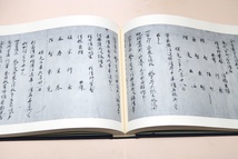 人車記・陽明叢書・4冊/近衛通隆監修/兵部卿平信範の日記/詳密にして精確な記録とこれへの信範の評言は人車記の大きな魅力の1つである_画像9