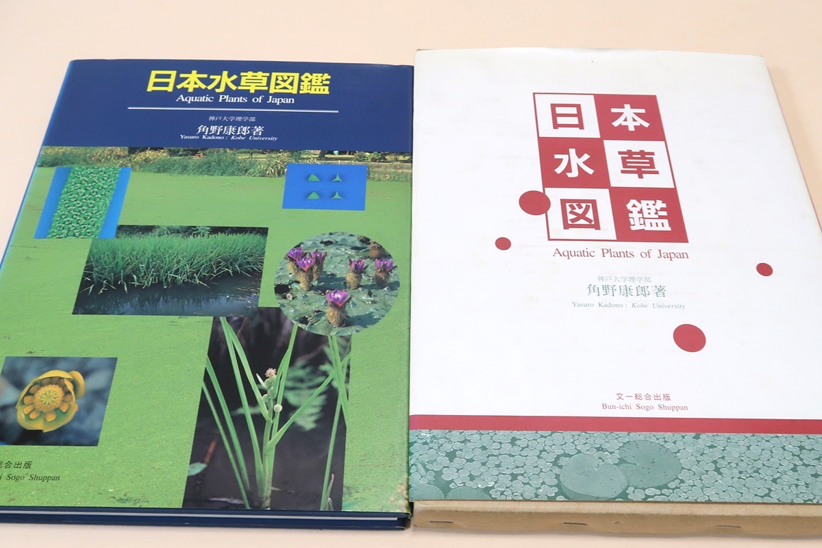 日本のシダ植物図鑑 新装版 第６巻 分布 生態 分類 倉田悟 著者 中池敏之 著者 Www Oktoberfest Net