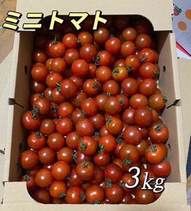 ミニトマト 3kg