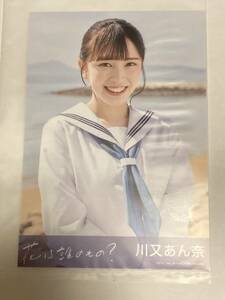 STU48「花は誰のもの？」劇場盤CD購入特典ランダム写真　川又あん奈