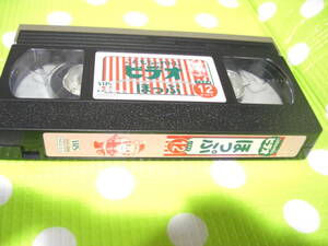  prompt decision ( including in a package welcome )VHS.. mochi .... video ...1999 year 12 month number appendix Shimajiro * video other great number exhibiting θA314