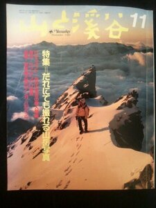 Ba1 04163 山と渓谷 1989年11月号 No.652 だれにでも撮れる山岳写真 横山 宏の実戦山岳写真テクニック 撮影山行のためのポイントガイド5 他