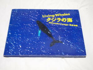 クジラの海　岩合光昭　livingwhales　写真集