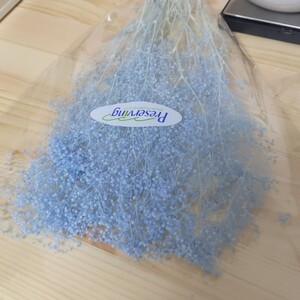 かすみ草 カスミ 草 大地農園 ハーバリウム プリザーブドフラワードライフラワー花材リーススワッグはなかんむり髪飾り