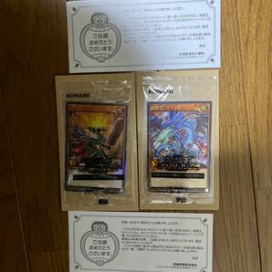 遊戯王セブンス セブンスロード・マジシャン　連撃竜ドラギアス　セット　当選品