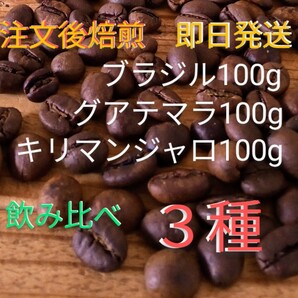 焙煎珈琲豆 飲み比べ3種 各100g