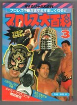 ◎即決◆送料無料◆ プロレス大百科　PART ３　 ケイブンシャの大百科　 昭和58年　初版_画像1