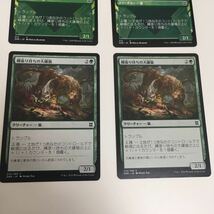 [ＭＴＧ][番号２９５６] [プレイド扱い]　縄張り持ちの大鎌猫　日ｘ４_画像3