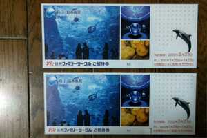 新江ノ島水族館 招待券 ２枚セット　有効期限２０２２年６月３０日 送料無料