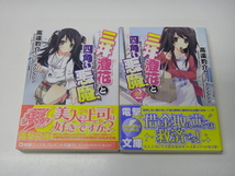 ☆ぷれいぶっ！全3巻、藤堂家はカミガカリ　全3巻ほか　計11冊セット　高遠豹介 / 電撃文庫 ☆B359_画像5