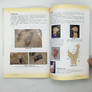 【図録】 埴輪が語る戸田市の古墳時代 戸田市立郷土博物館 市制施行50周年 : 第32回特別展 2016 南原遺跡発掘調査 資料 文献 f3ny10の画像6