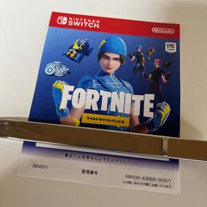 フォートナイト ワイルドキャットバンドル 使用済み