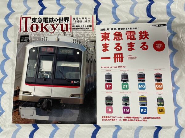 東急 電鉄 の 世界 まるまる 車両 書籍 2冊 鉄道 私鉄