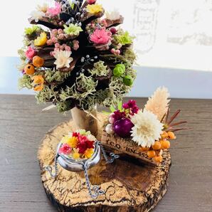 ③松ぼっくり 切株アートフラワーコルクアートフラワー プリザーブドフラワーインテリア フラワーアレンジメント ミニガーデン 花