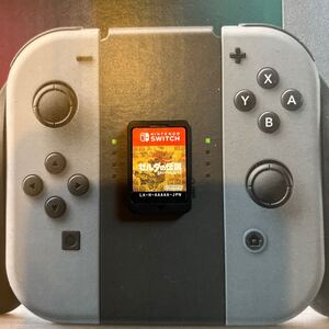 ニンテンドースイッチ NintendoSwitch ゼルダの伝説 ブレスオブザワイルド ブレワイ