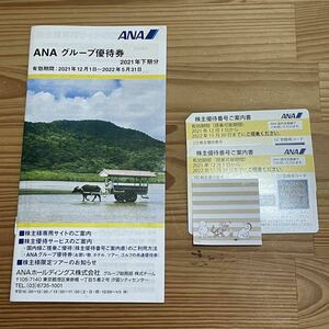 ANA/全日空　株主優待券2枚＋グループ優待券
