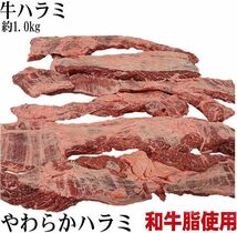 【業務用】やわらか牛ハラミ　メガ大盛り1kg 　焼肉・BBQ（バーベキュー）用のジューシーなハラミ_画像1
