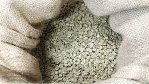 コーヒー生豆100g×5袋(ブラジル,コロンビア,マンデリン,グアテマラ,タンザニア)