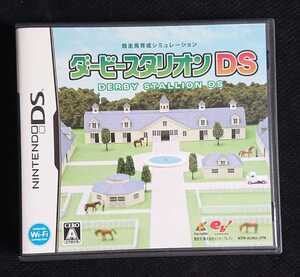 【即決・送料込】ニンテンドーDS/ダービースタリオンDS/ソフト、ケース、説明書