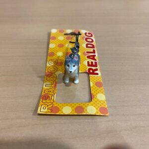 新品 未使用 REAL DOG キーホルダー ストラップ シベリアンハスキー