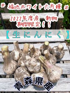青森県産 生にんにく 期間限定 福地ホワイト六片種 新物 にんにく 生ニンニク L、2Lサイズ混合 土付き 1キロ