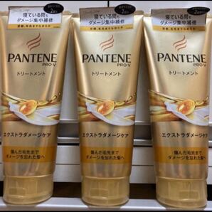 パンテーントリートメント エクストラダメージケア特大300g 3本 洗い流すヘアトリートメント